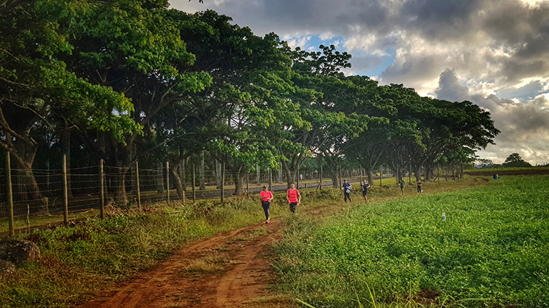 Sunrise Jog | Moka moments